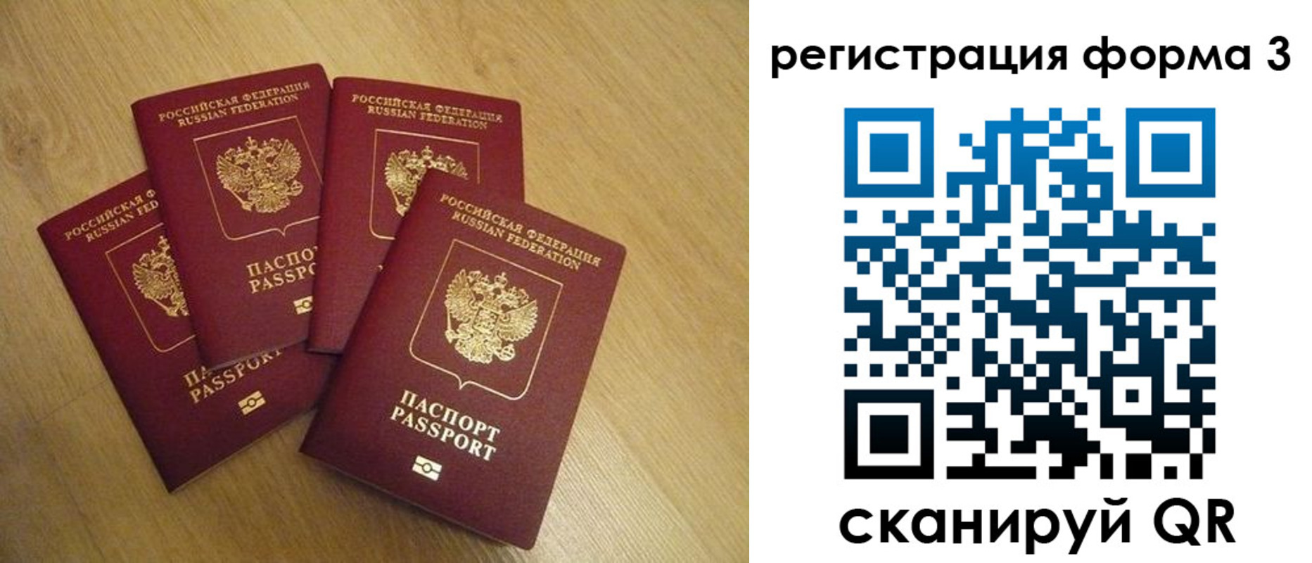 прописка для школы в Ивантеевке